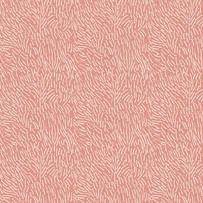 Abstract Lines - Coral