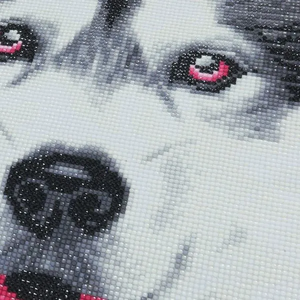 Alaskan Malamute Face Crystal Art Cushion Kit 30 x 30 cm