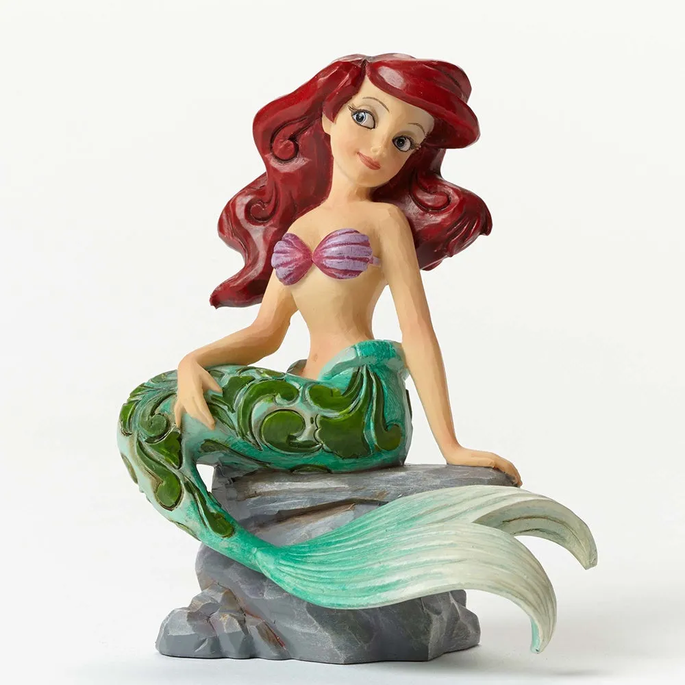 Ariel, A Splash of Fun