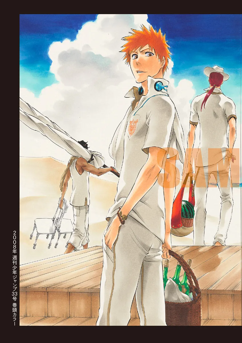 BLEACH EX. Official catalog THE BLACK BROCHURE