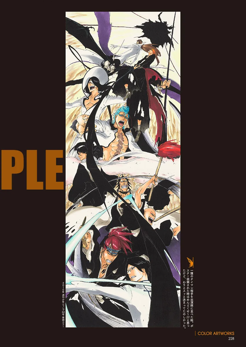 BLEACH EX. Official catalog THE BLACK BROCHURE