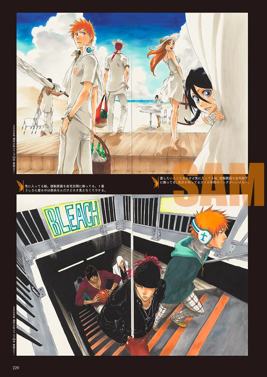 BLEACH EX. Official catalog THE BLACK BROCHURE