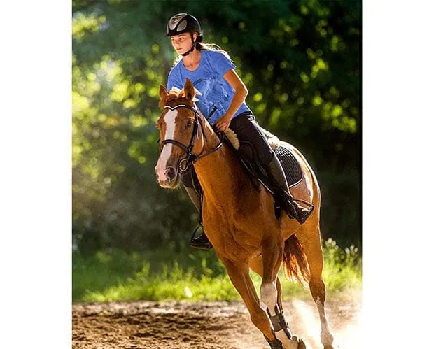 Breyer Blue Jumping Horse Women's T-Shirt